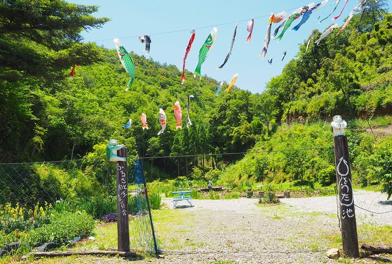 なかのこし花公園